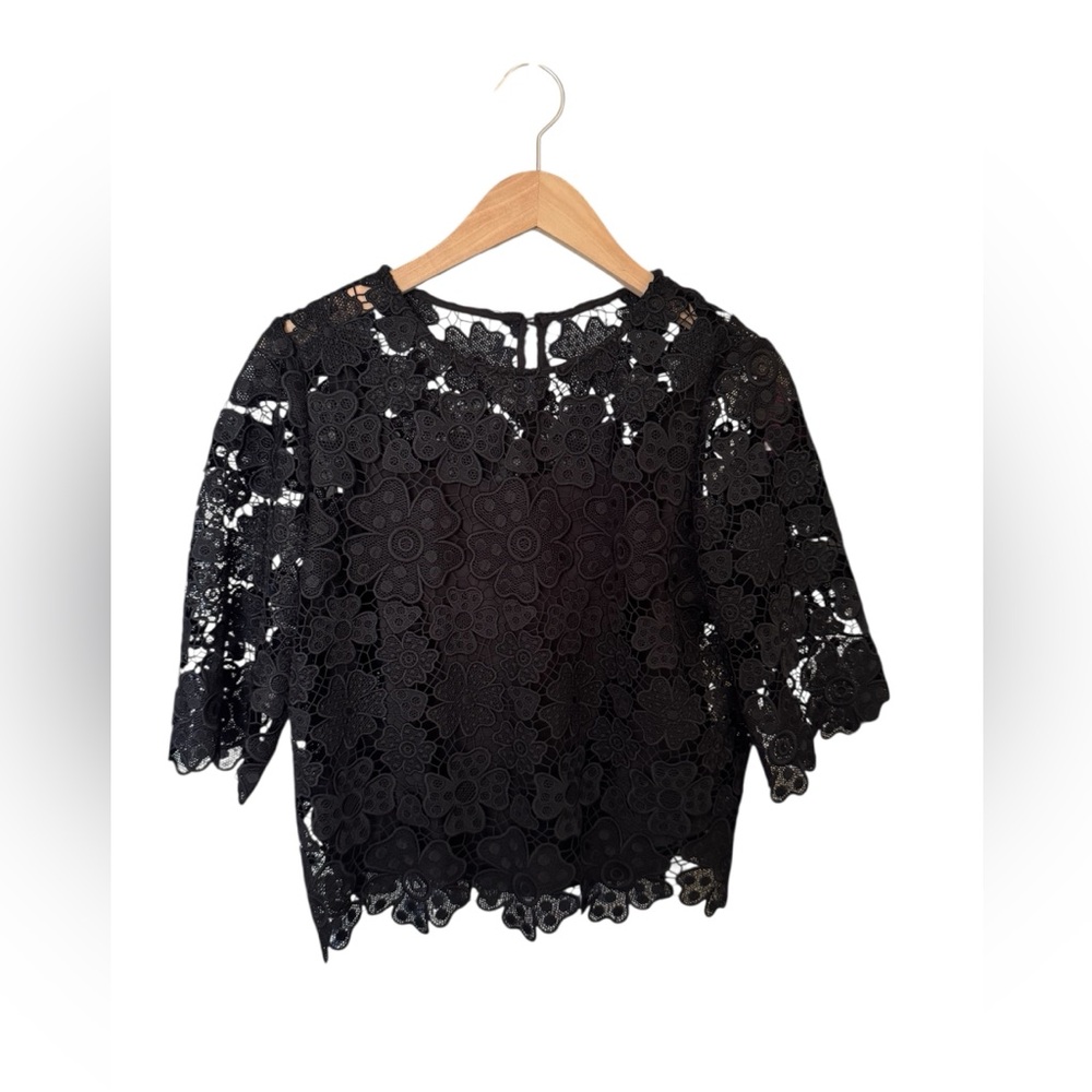 Sara campbell NWT